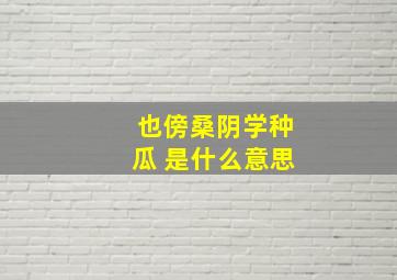 也傍桑阴学种瓜 是什么意思